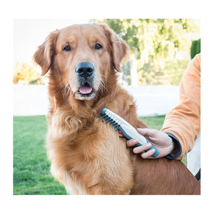 Peigne coupe nœuds électrique pour chien